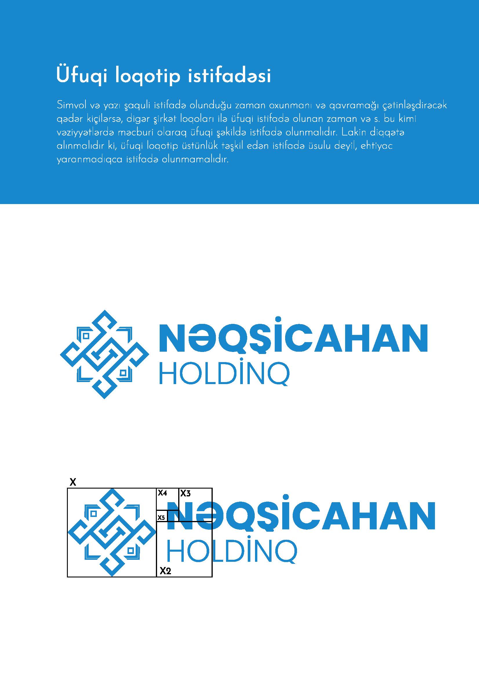 Neqsicahan Holding — example 8